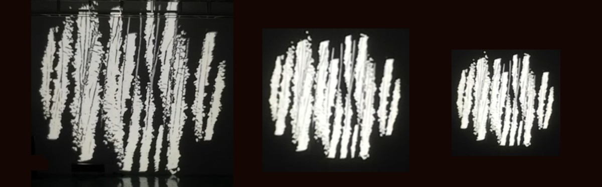 פונקציית זום של מקרן gobo