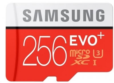 כרטיס זיכרון - כרטיס מיקרו SD בנפח 256 גיגה