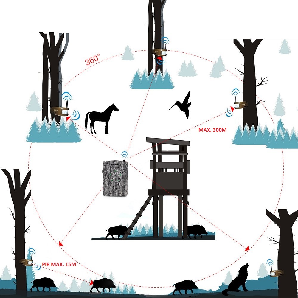 מערכת אזעקת ציד Bestguarder ביער